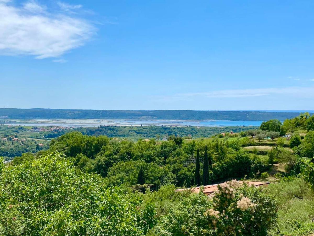 Apartma Hill Portorose Bagian luar foto